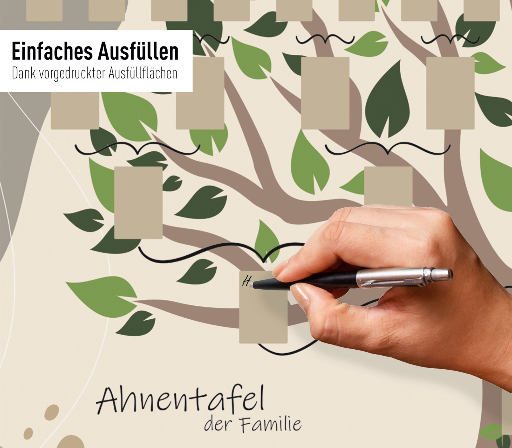 Schmuck-Ahnentafel "Illustrierter Baum" für 6 Generationen gerollt