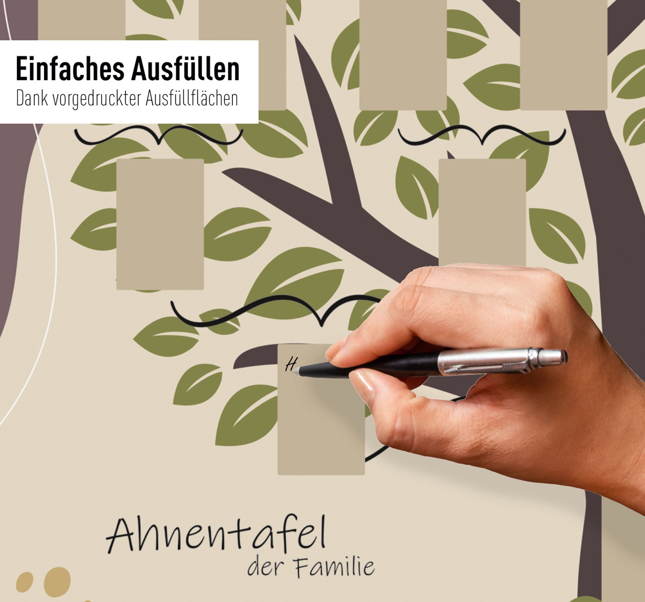 Schmuck-Ahnentafel "Illustrierter Baum" für 5 Generationen gerollt