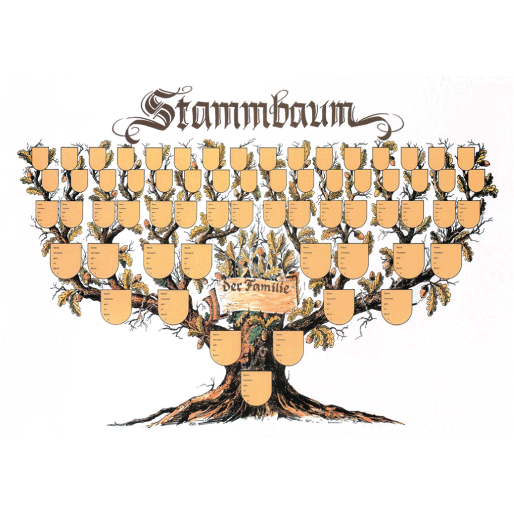 Stammbaum der Familie
