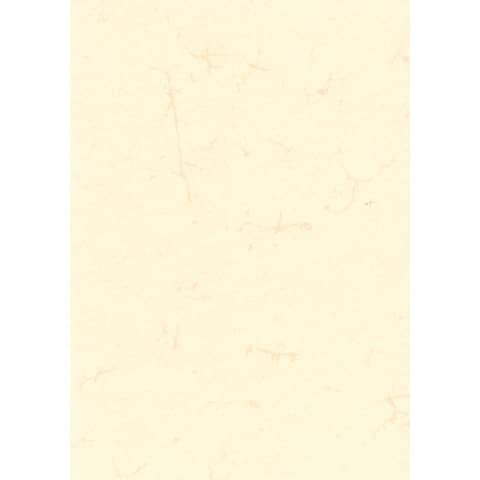 Dokumentenpapier