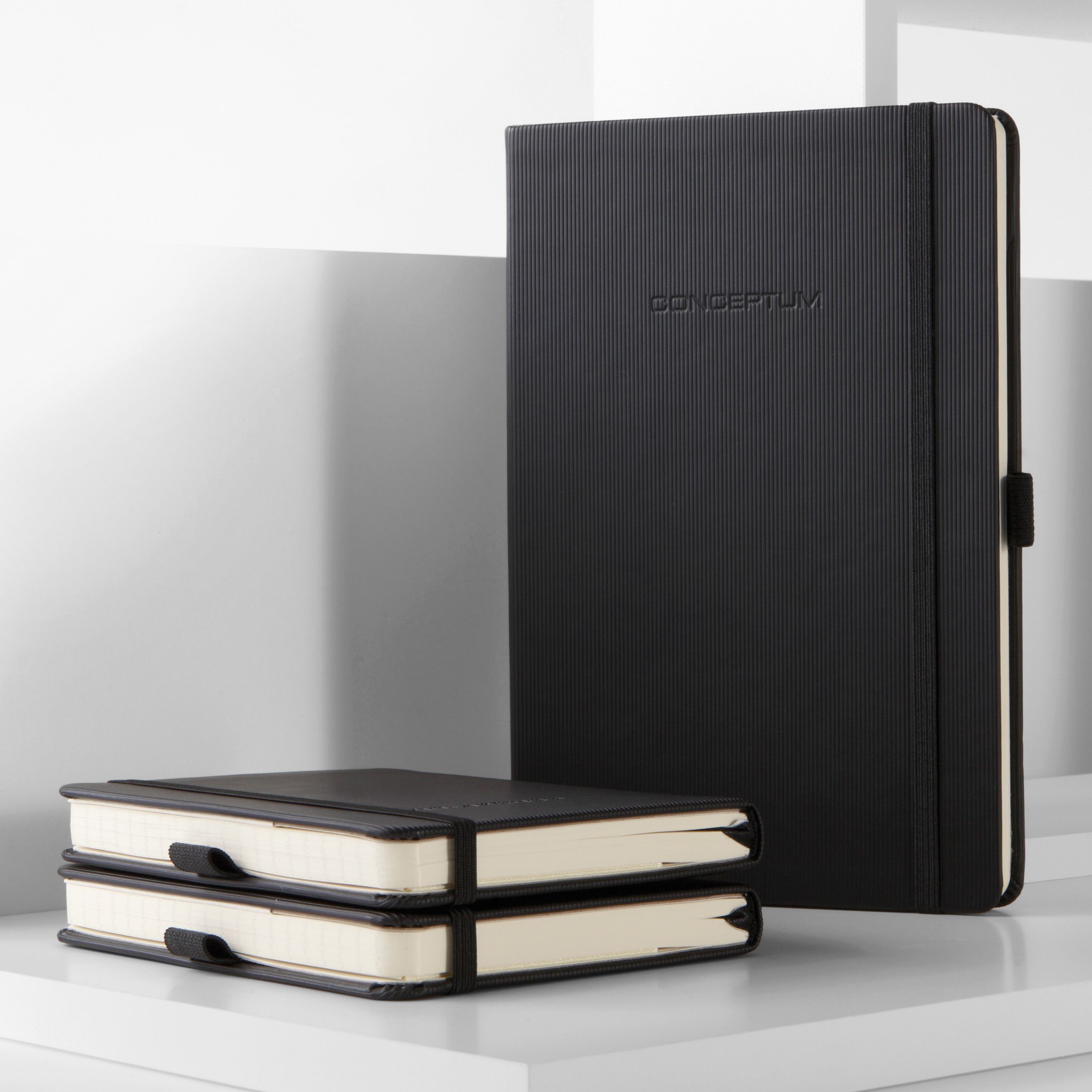 Notizbuch Conceptum